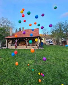 Afbeelding uit fotogalerij van Fruška house in Bešenovački Prnjavor