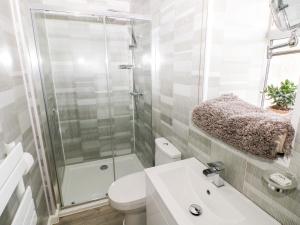 Un baño con ducha, inodoro y lavabo. en Dairy Cottage, en Whitland
