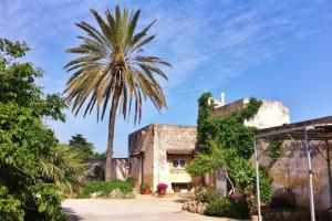palma przed budynkiem w obiekcie Baglio Sciacca - Xenia Sicily Villas w mieście Mazara del Vallo