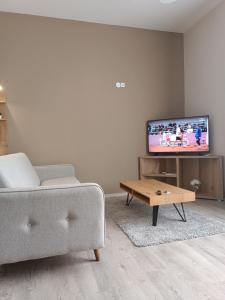 a living room with a couch and a tv at Vila Bor in Bečej