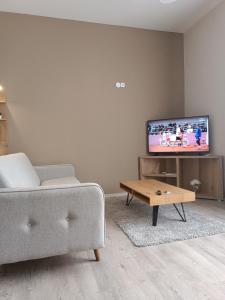 TV a/nebo společenská místnost v ubytování Vila Bor