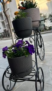 Gallery image of 3B Suites Boutique Hotel in Sarandë +99 photos