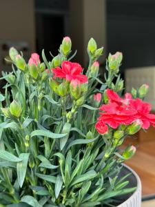 Gallery image of 3B Suites Boutique Hotel in Sarandë