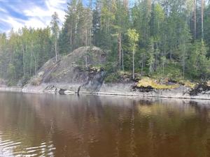 una vista de un cuerpo de agua con árboles en Angervo, en Miehikkälä