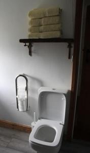 a bathroom with a toilet and towels on a shelf at Kingfisher Cottage in High Bentham