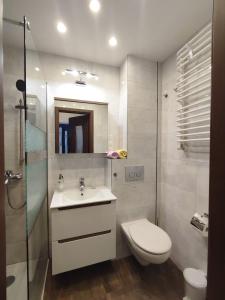 y baño con aseo, lavabo y ducha. en Komfortowy Apartament w Kłodzku, en Kłodzko