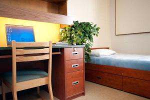 - une chambre avec un bureau et un lit avec une plante dans l'établissement UPEI Summer Accommodations, à Charlottetown