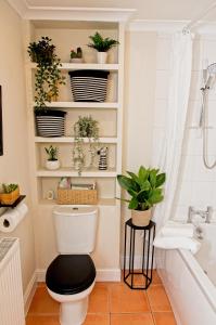 a bathroom with a toilet and plants on shelves at Coney Cottage in Porthcawl