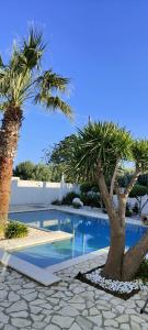 a swimming pool with two palm trees next to it at 5 elementi in Porto Empedocle