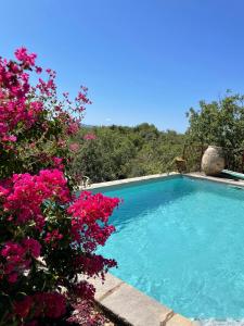 een zwembad met roze bloemen ervoor bij Le petit Mas in Vogüé
