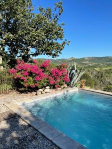 Πισίνα στο ή κοντά στο Le petit Mas