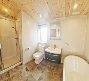 a bathroom with a toilet sink and a shower at MAC Skyline Lodges in Balloch