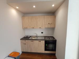 Kuchyň nebo kuchyňský kout v ubytování Suites Elifani