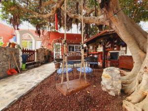 a swing in a tree in front of a house at La Bodeguita Apartamento Santo Domingo in La Guancha