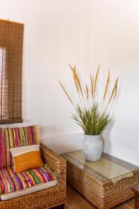 a wicker chair and a table with a potted plant at Galatia's House in Kouklia