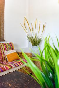 庫克里亞的住宿－Galatia's House，带沙发和盆栽植物的客厅