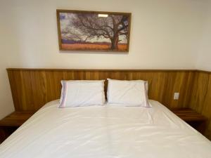 ein Bett mit zwei Kissen und einem Bild an der Wand in der Unterkunft Vilage Villa Andorinha - apt 09 in Mucugê