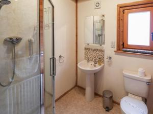 a bathroom with a toilet and a sink and a shower at Teal Lodge in Market Rasen