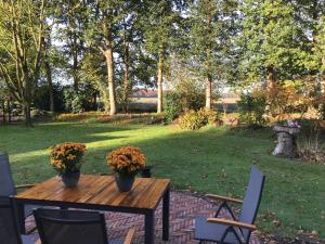 埃克斯洛的住宿－Het Uilennest，院子顶部的木桌,上面有两盆植物