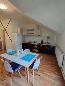 Kuchyň nebo kuchyňský kout v ubytování Iosefin House Studio + 18 fotografií