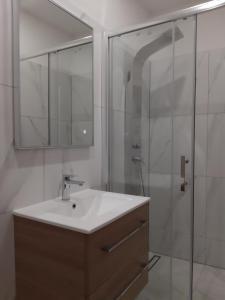a bathroom with a sink and a shower at Apartments Tea and Tamara in Pirovac