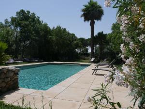 a swimming pool in a garden with a palm tree at Domaine de Livière-Haute Narbonne in Narbonne