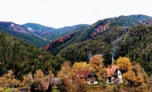 Příroda nedaleko apartmánu