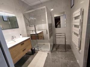 a bathroom with a shower and a sink and a mirror at Au bonheur des ruelles in Monpazier +10 photos