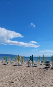 a group of lawn chairs and umbrellas on a beach at Villaggio al mare in Manfredonia