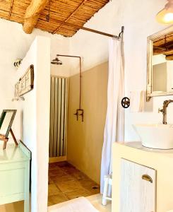 a bathroom with a sink and a mirror at Brakdakkie Guest Cottages in Prince Albert