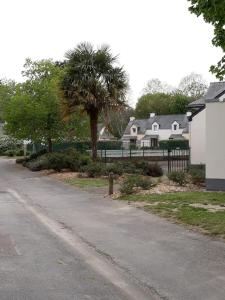une rue résidentielle avec une clôture et un palmier dans l'établissement Les cottages du golf à Ploemel, à Ploemel