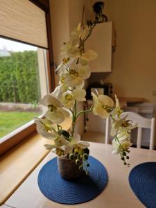 um vaso cheio de flores brancas sobre uma mesa em Linos Apartamentai em Druskininkai