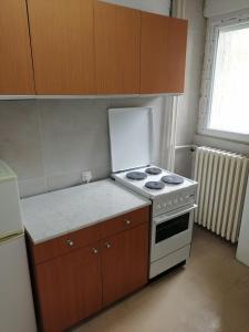 a kitchen with a stove and a counter top at DUNAVSKI KEJ in Novi Sad