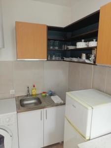 een kleine keuken met een wastafel en een koelkast bij DUNAVSKI KEJ in Novi Sad