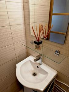 a bathroom with a white sink and a mirror at Linos Apartamentai in Druskininkai +2 photos