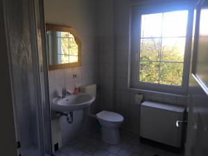 a bathroom with a sink and a toilet and a window at Ferienwohnung im Blauen Haus in Bad Suderode