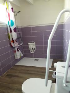La salle de bains pourpre est pourvue de toilettes et d'une douche. dans l'établissement Gîte PMR Evasion Camarguaise, à Beauvoisin