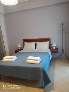 Un pat sau paturi într-o cameră la Agrabeli Cottage in Platanos