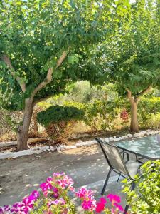 Agrabeli Cottage in Platanos في Plátanos: كرسي وطاولة في حديقة بها زهور