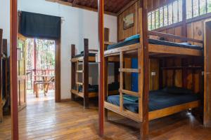 a room with four bunk beds in a house at Burnt Toast Surfcamp in Nosara
