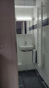 uma casa de banho branca com um lavatório e um espelho em Günstige, schöne Ferienwohnung im Wanderparadies em Wernigerode
