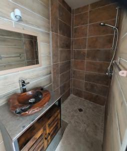 a bathroom with a sink and a shower at Rêves de vie Studio avec terrasse le Figuerolles in Cassis