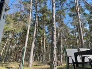 een uitzicht op een bos met een bank en bomen bij La Brisa Apartments in Dziwnówek