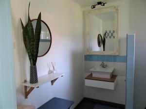 baño con lavabo, espejo y planta en Hotel Boutique La Perouse, en Hanga Roa