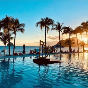 uma piscina de resort com palmeiras e o oceano em Appartement terrasse vue mer et piscine em Le Diamant