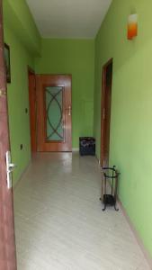 Zimmer mit grünen Wänden und einer Holztür in der Unterkunft Guesthouse Lula in Tepelenë