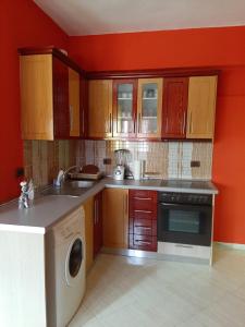 eine Küche mit Holzschränken, einer Waschmaschine und einer Spüle in der Unterkunft Guesthouse Lula in Tepelenë