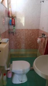 La salle de bains est pourvue de toilettes blanches et d'un lavabo. dans l'établissement Guesthouse Lula, à Tepelenë