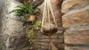 a basket hanging from a brick wall with a plant at Apartamentos Puerta de Occidente in Cornellana