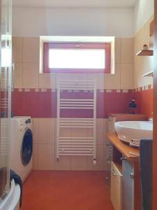 ein Badezimmer mit einer Waschmaschine und einem Waschbecken in der Unterkunft Trend Baláca Home in Veszprém